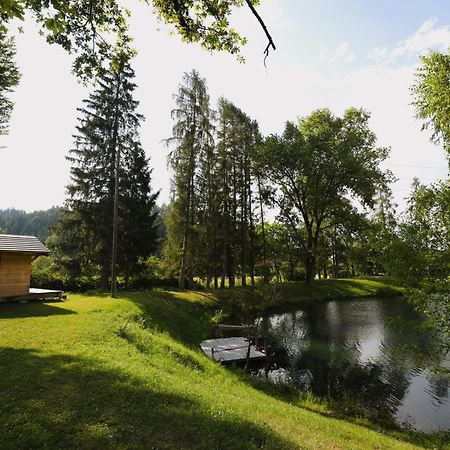 Feistritz ob BleiburgHaus Am Fischteich公寓 外观 照片