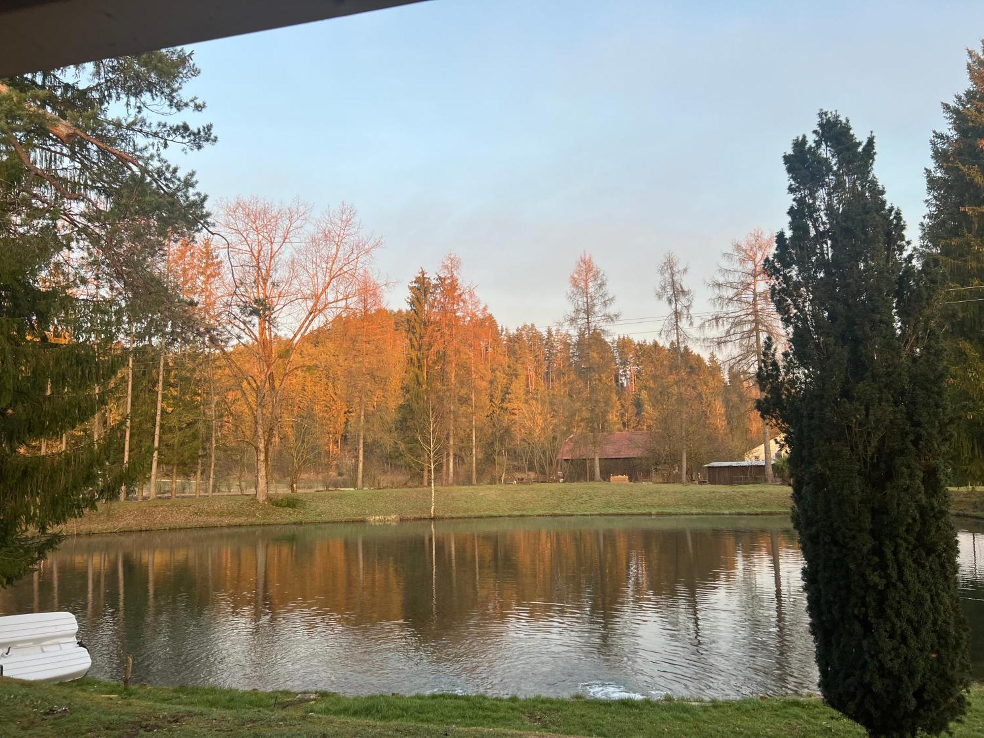 Feistritz ob BleiburgHaus Am Fischteich公寓 外观 照片