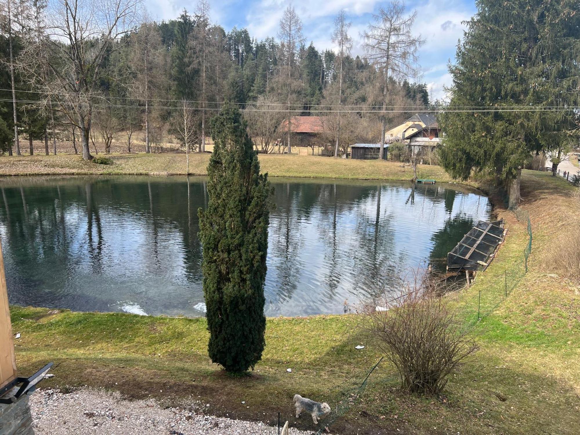 Feistritz ob BleiburgHaus Am Fischteich公寓 外观 照片